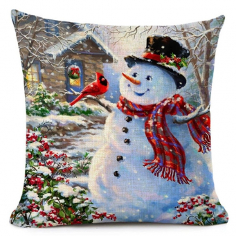 Throw Pillows
