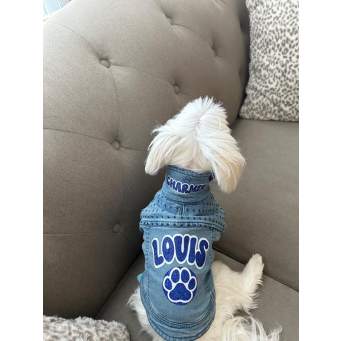 Pet Neckwear