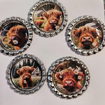 Refrigerator Magnets