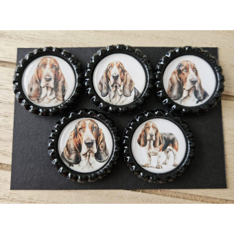 Refrigerator Magnets