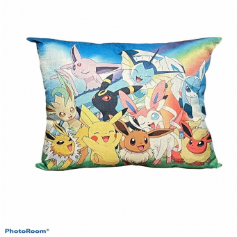 Throw Pillows