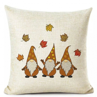 Throw Pillows