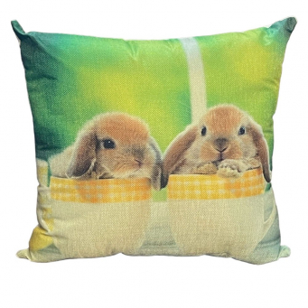 Throw Pillows