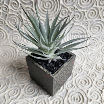 Faux Plants & Greenery