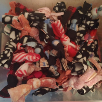 Pet Toys
