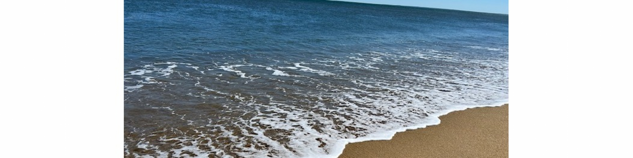 Tideline Boutique